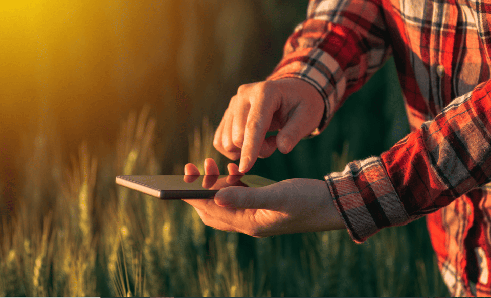 5 Factors of Grain Market Analysis