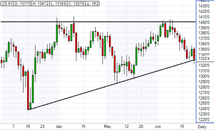 Soybeans_2011