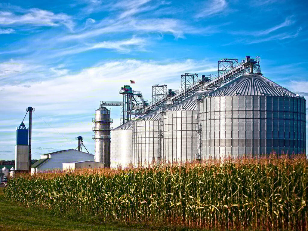 Corn Field and Dryer Silos
