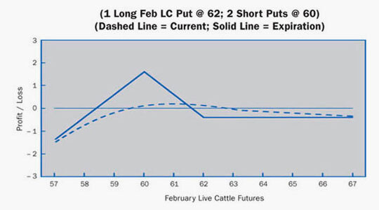 Ratio Put Spread Example